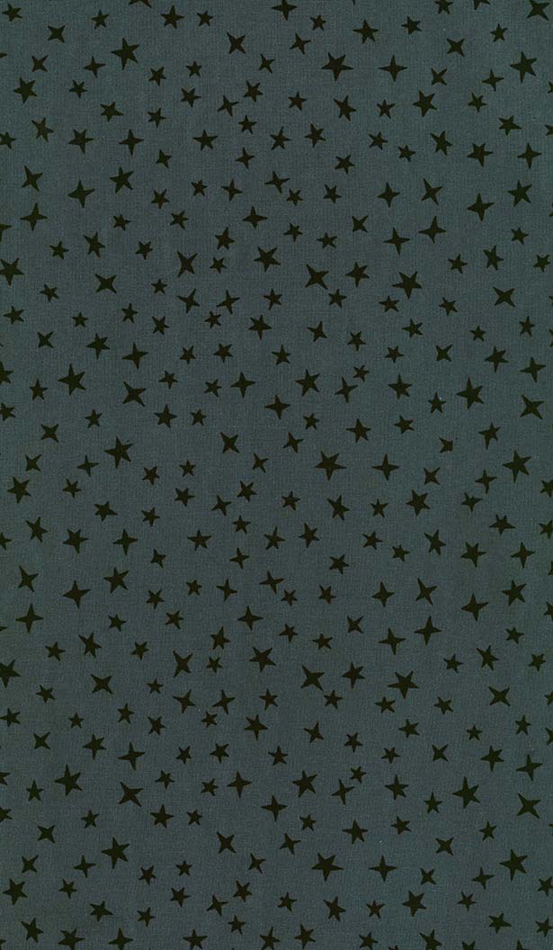 Michael Miller Fabrics - Michael Miller Prints Direct New - Choice FabricsDS-96007-001 - CX12086-CELS-D