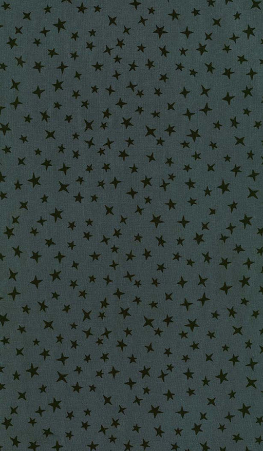 Michael Miller Fabrics - Michael Miller Prints Direct New - Choice FabricsDS-96007-001 - CX12086-CELS-D