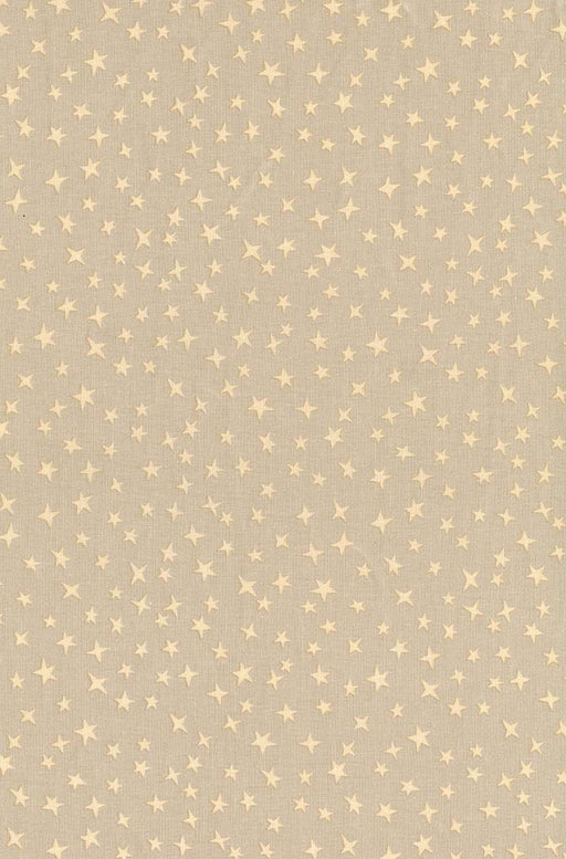 Michael Miller Fabrics - Michael Miller Prints Direct New - Choice FabricsDS-96015-001 - CX12086-DEWX-D