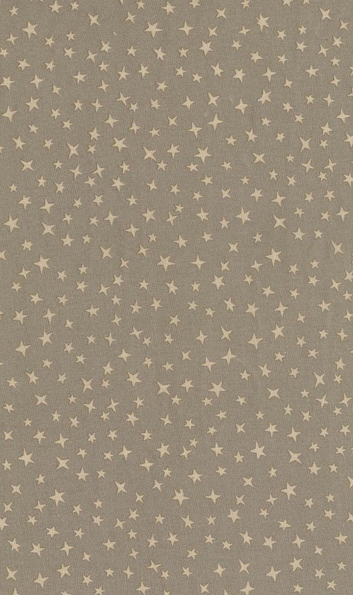 Michael Miller Fabrics - Michael Miller Prints Direct New - Choice FabricsDS-96017-001 - CX12086-FOGX-D