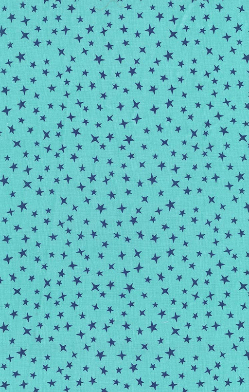 Michael Miller Fabrics - Michael Miller Prints Direct New - Choice FabricsDS-96030-001 - CX12086-MERM-D