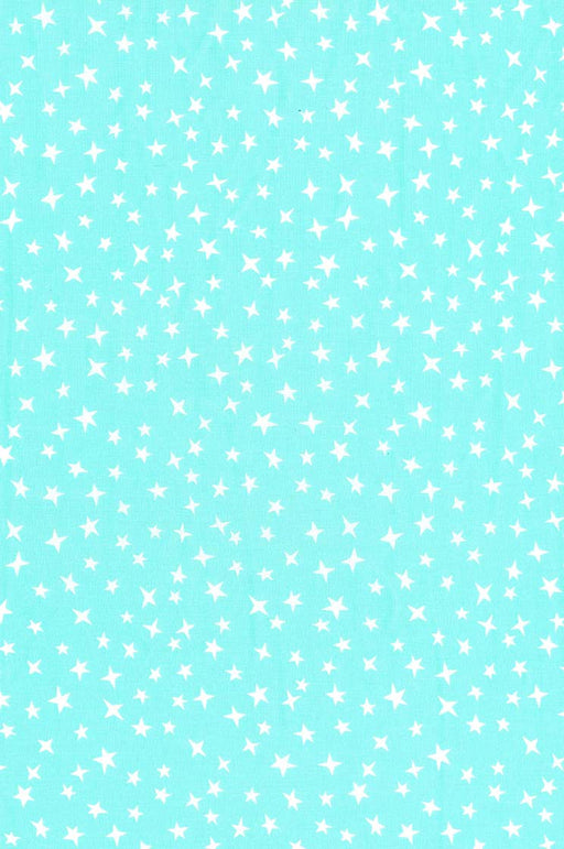 Michael Miller Fabrics - Michael Miller Prints Direct New - Choice FabricsDS-96031-001 - CX12086-MINT-D