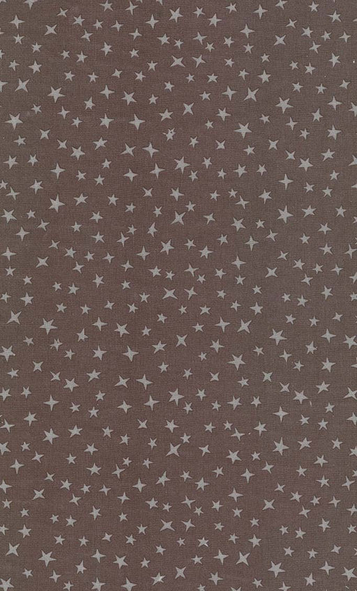 Michael Miller Fabrics - Michael Miller Prints Direct New - Choice FabricsDS-96042-001 - CX12086-STOR-D
