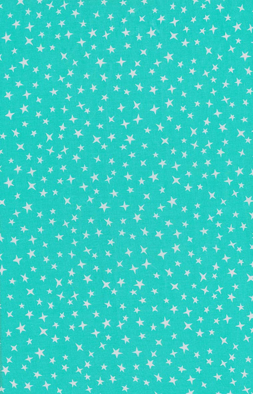 Michael Miller Fabrics - Michael Miller Prints Direct New - Choice FabricsDS-96046-001 - CX12086-TURQ-D