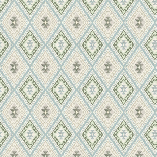 Michael Miller Fabrics - Michael Miller Prints Direct New - Choice FabricsDS-96101-001 - DCX11833-MULT-D