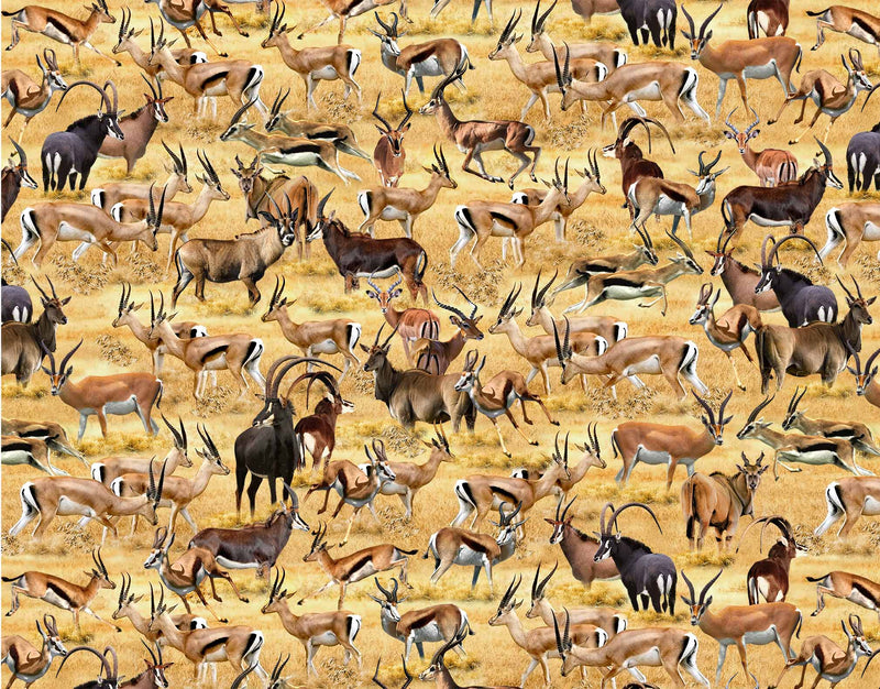 Michael Miller Fabrics - Michael Miller Prints Direct New - Choice FabricsDS-96153-001 - DCX11955-SAND-D