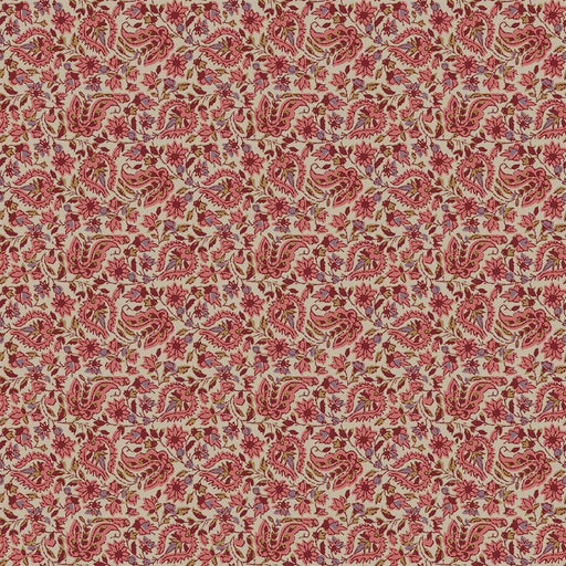 Michael Miller Fabrics - Michael Miller Prints Direct New - Choice FabricsDS-96166-001 - DCX11987-TERR-D