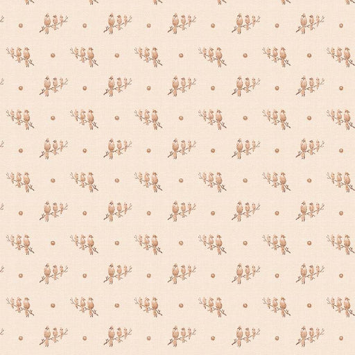Michael Miller Fabrics - Michael Miller Prints Direct New - Choice FabricsDS-96173-001 - DCX11991-BLUS-D