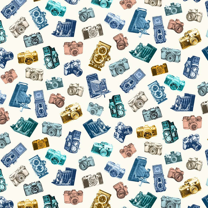 Michael Miller Fabrics - Michael Miller Prints Direct New - Choice FabricsDS-96226-001 - DCX12088-BLUE-D
