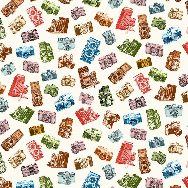 Michael Miller Fabrics - Michael Miller Prints Direct New - Choice FabricsDS-96227-001 - DCX12088-MULT-D