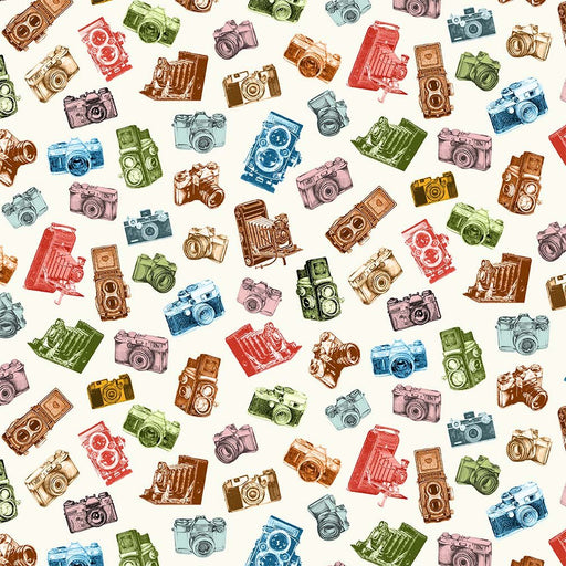 Michael Miller Fabrics - Michael Miller Prints Direct New - Choice FabricsDS-96227-001 - DCX12088-MULT-D