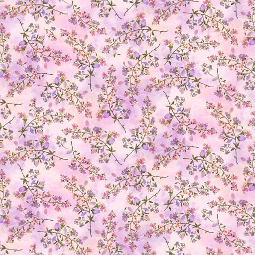 Michael Miller Fabrics - Michael Miller Prints Direct New - Choice FabricsDS-96235-001 - DCX12142-LAVE-D