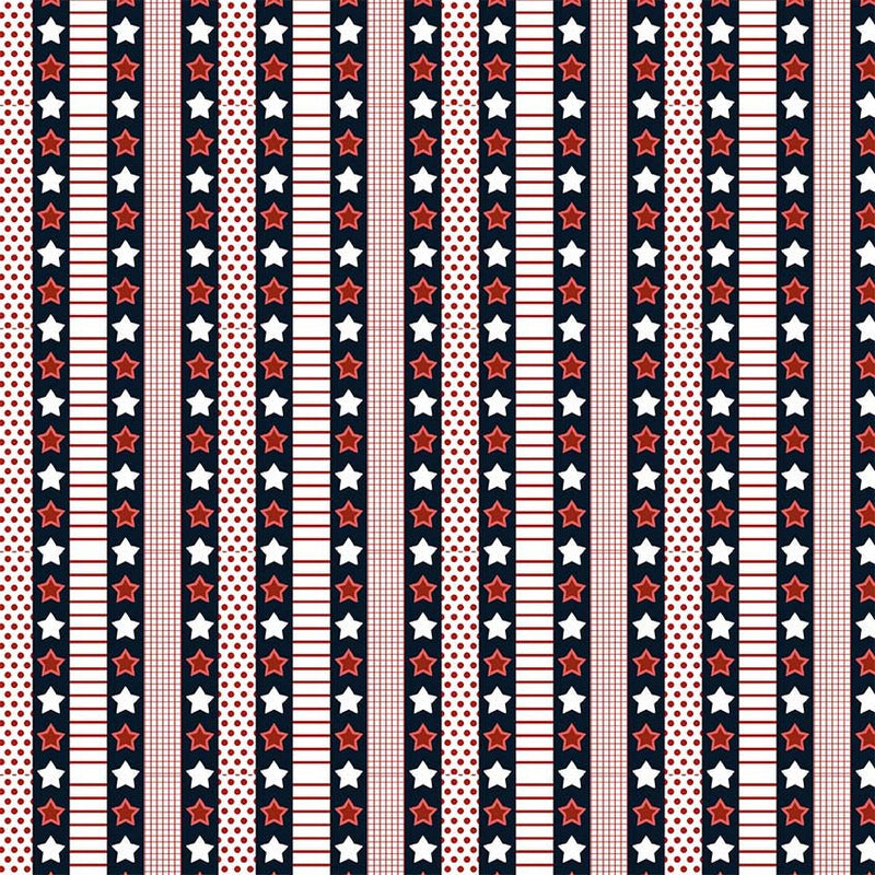 Michael Miller Fabrics - Michael Miller Prints Direct New - Choice FabricsDS-96249-001 - DCX12180-INDI-D