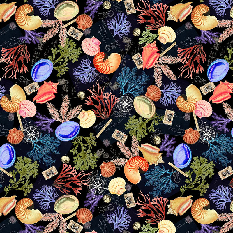 Michael Miller Fabrics - Michael Miller Prints Direct New - Choice FabricsDS-96261-001 - DCX12186-BLAC-D