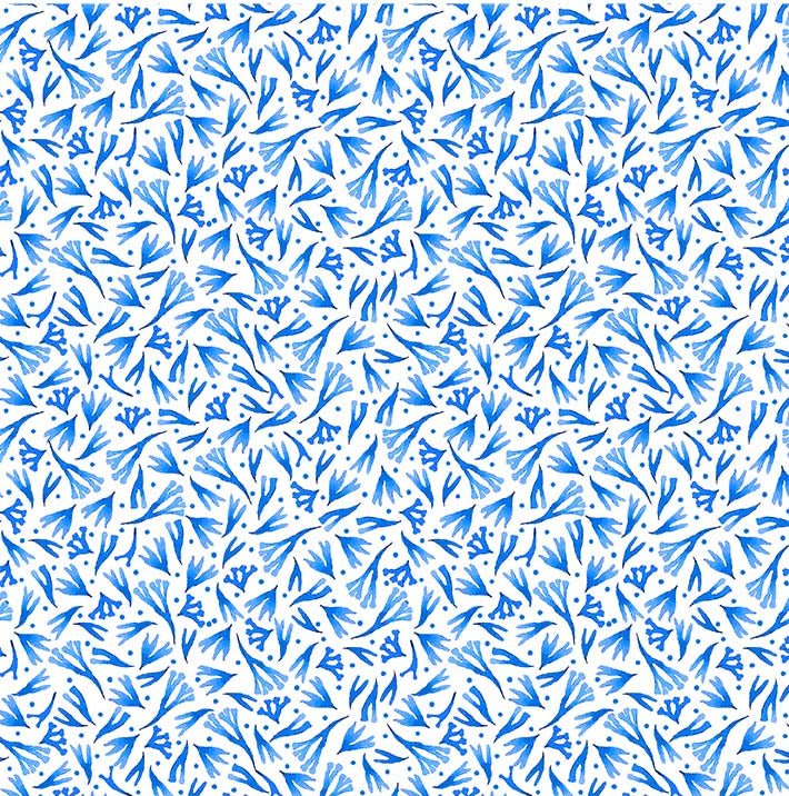 Michael Miller Fabrics - Michael Miller Prints Direct New - Choice FabricsDS-96270-001 - DCX12192-BLUE-D
