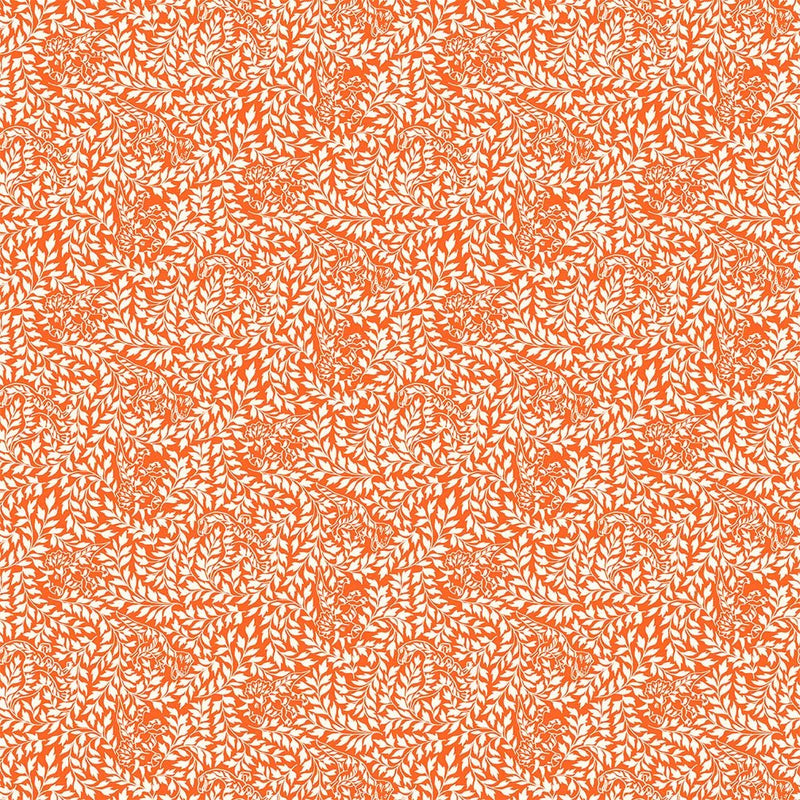 Michael Miller Fabrics - Michael Miller Prints Direct New - Choice FabricsDS-96286-001 - DCX12199-ORAN-D