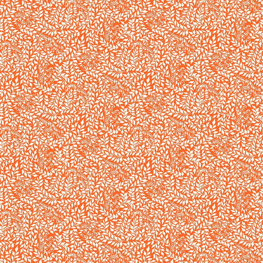 Michael Miller Fabrics - Michael Miller Prints Direct New - Choice FabricsDS-96286-001 - DCX12199-ORAN-D