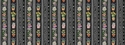 Michael Miller Fabrics - Michael Miller Prints Direct New - Choice FabricsDS-96334-001 - DDC11822-BLAC-D
