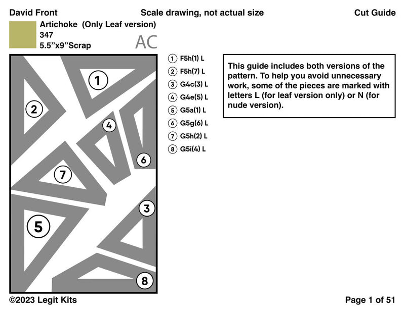 David Front Pattern