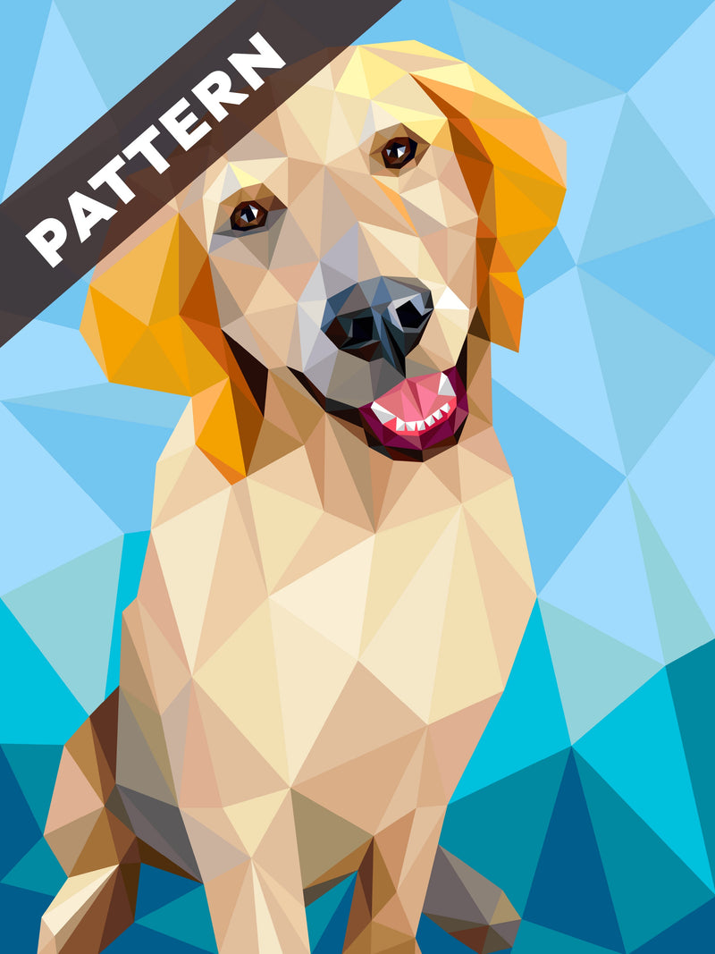 Everest the Retriever Pattern