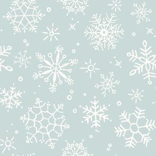 Riley Blake Designs - Riley Blake Backings - Choice FabricsFF-99886-001 - 3YD-WB14949-BLUE
