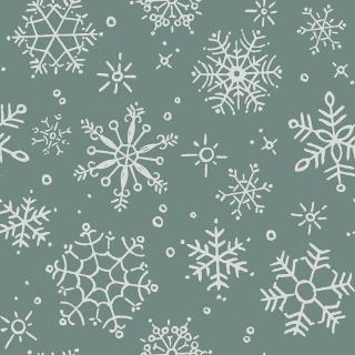 Riley Blake Designs - Riley Blake Backings - Choice FabricsFF-99910-001 - 3YD-WB14949-WINTER