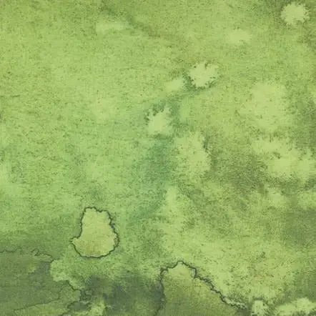 Green Fern Flow Cotton Wideback Fabric Per Yard - Choice Fabrics108004-47