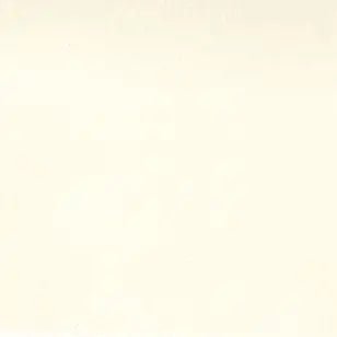 Natural Muslin Cotton 200 Count Wideback Fabric Per Yard 110" - Choice Fabrics9954-12
