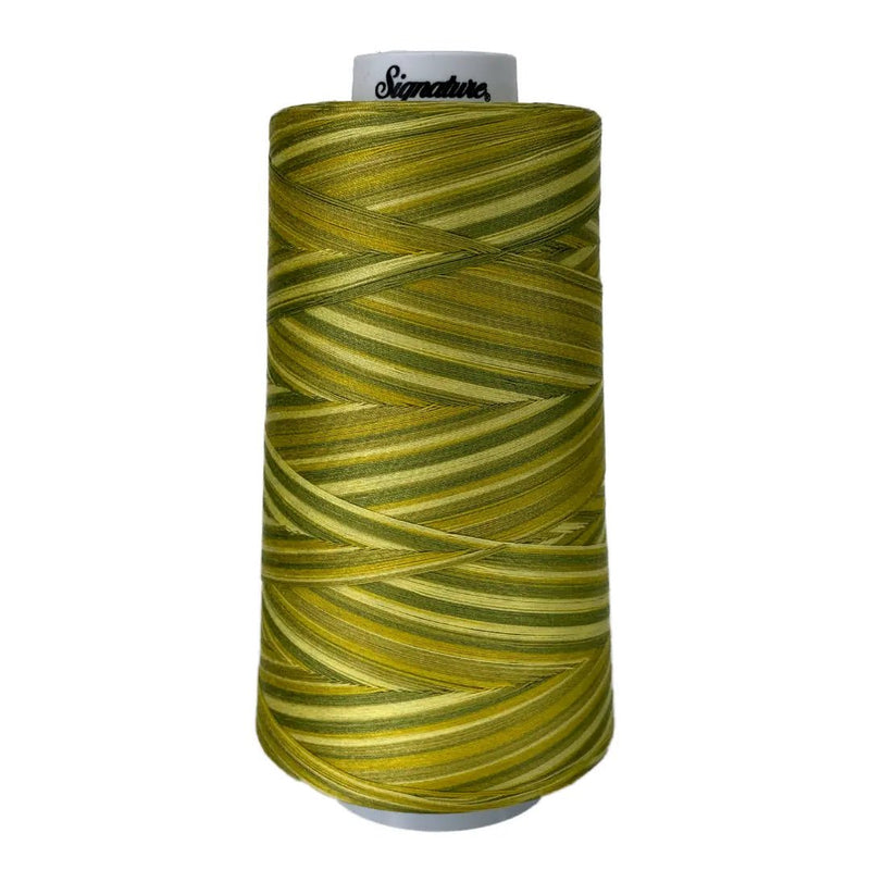 F150 Sun Lime Splash Signature Cotton Variegated Thread - Choice FabricsSIGV-F150