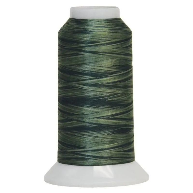 5014 Pine Valley Fantastico Variegated Polyester Thread - Choice FabricsCDS-11702-5014
