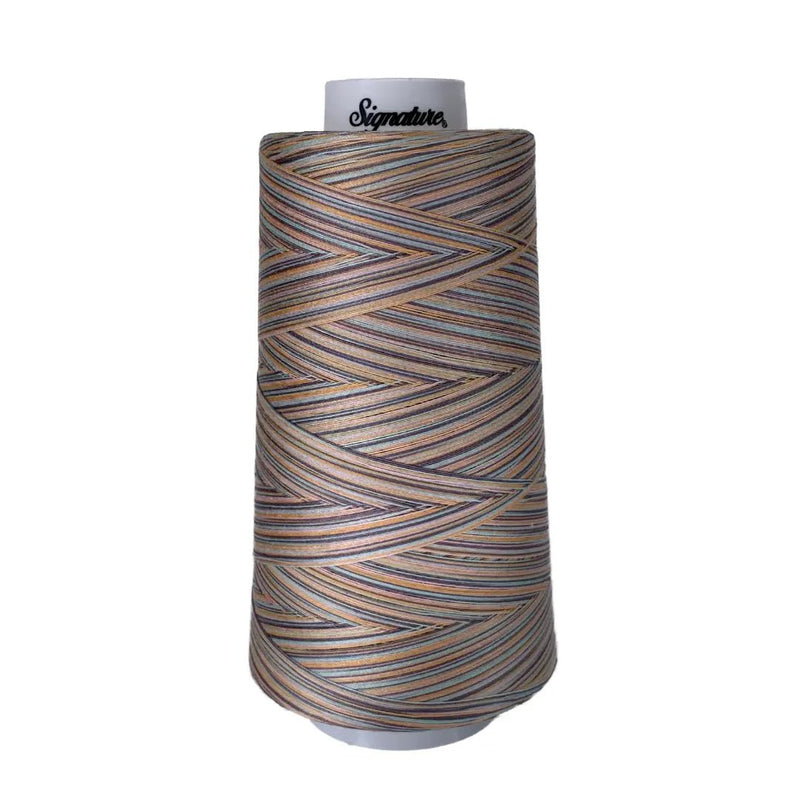F254 Early Sunset Signature Cotton Variegated Thread - Choice FabricsSIGV-F254