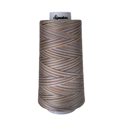 F254 Early Sunset Signature Cotton Variegated Thread - Choice FabricsSIGV-F254