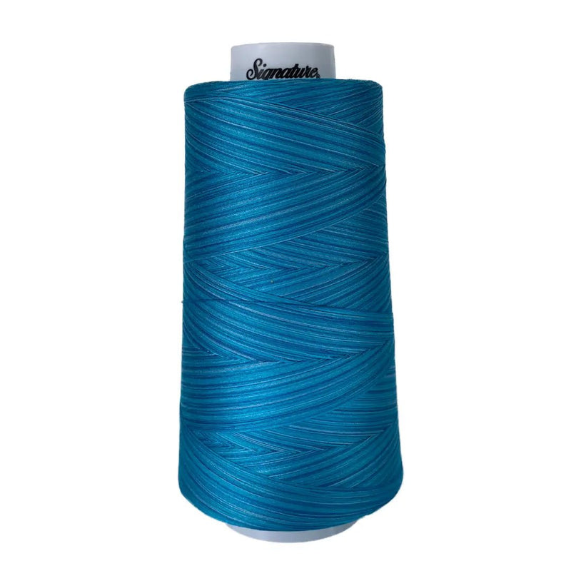 F258 Dreamy Blues Signature Cotton Variegated Thread - Choice FabricsSIGV-F258