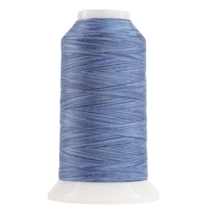 9004 Baby Benjamin Omni Variegated Polyester Thread - Choice FabricsCDS-14502-9004