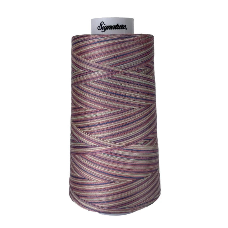 M06 Victorian Variegated Signature Cotton Variegated Thread - Choice FabricsSIGV-M06