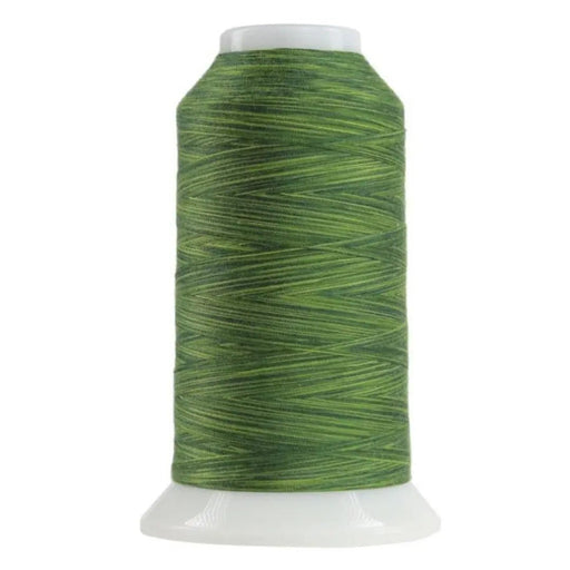 9054 Verdant Omni Variegated Polyester Thread - Choice FabricsCDS-14502-9054