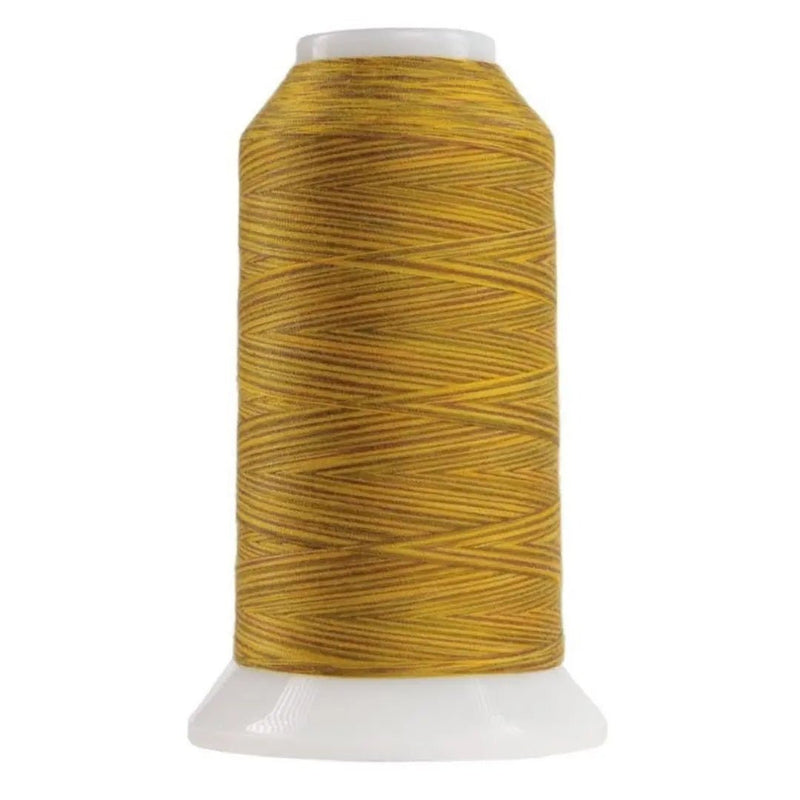 9130 Leo The Lion Omni Variegated Polyester Thread - Choice FabricsOMNIV-9130