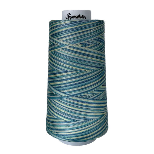 F151 St Thomas Signature Cotton Variegated Thread - Choice FabricsSIGV-F151
