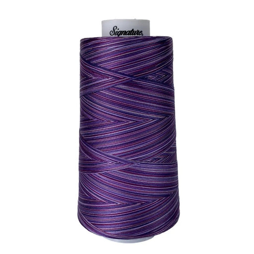 M12 Purple Haze Signature Cotton Variegated Thread - Choice FabricsCDS-49S-M12