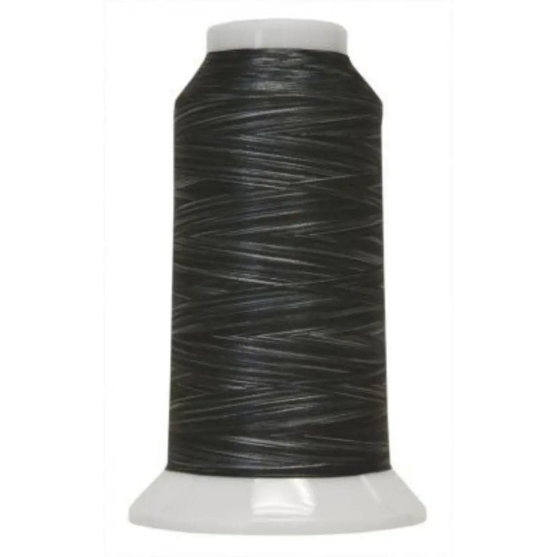 5101 Salt N Pepper Fantastico Variegated Polyester Thread - Choice FabricsCDS-11702-5101