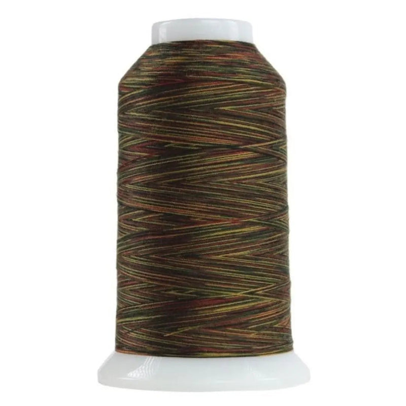 9145 Nebuchadnezzar Omni Variegated Polyester Thread - Choice FabricsOMNIV-9145