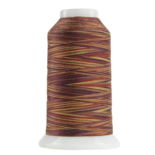 9149 Chenille Omni Variegated Polyester Thread - Choice FabricsCDS-14502-9149