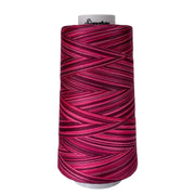 M79 Raspberries Signature Cotton Variegated Thread - Choice FabricsCDS-49S-M79