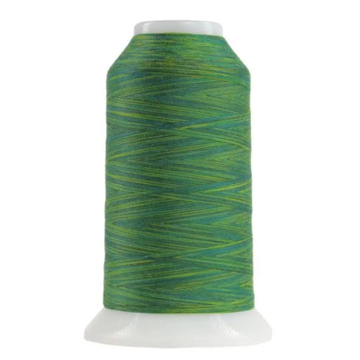 9007 Rolling Hills Omni Variegated Polyester Thread - Choice FabricsCDS-14502-9007