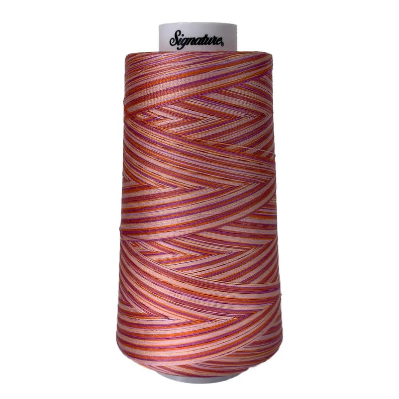 F154 Cotton Candy Signature Cotton Variegated Thread - Choice FabricsSIGV-F154
