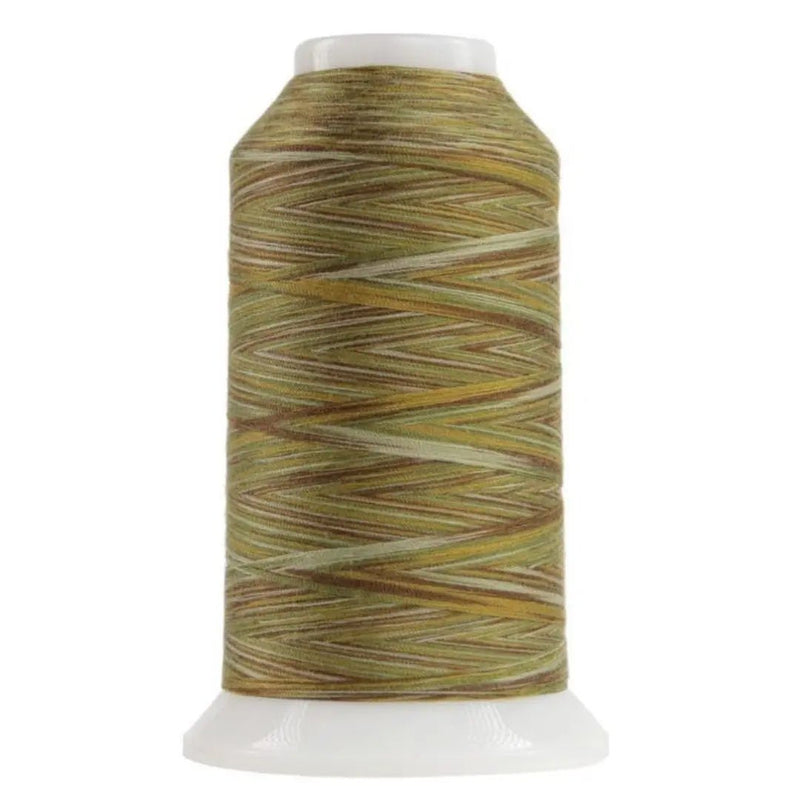 9010 Multigrain Omni Variegated Polyester Thread - Choice FabricsCDS-14502-9010