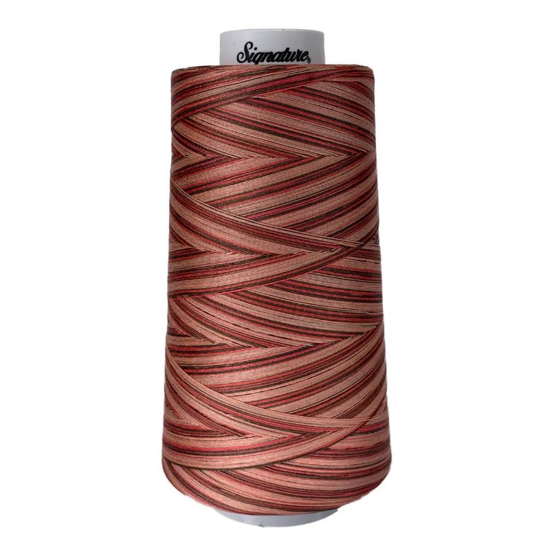 F250 Canyon View Signature Cotton Variegated Thread - Choice FabricsSIGV-F250