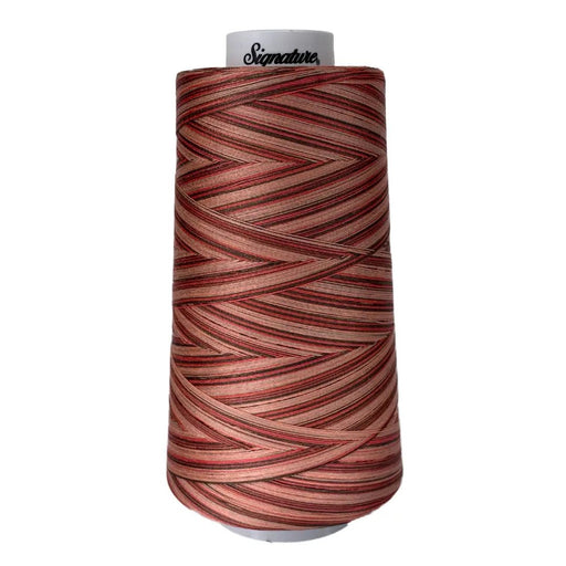 F250 Canyon View Signature Cotton Variegated Thread - Choice FabricsSIGV-F250