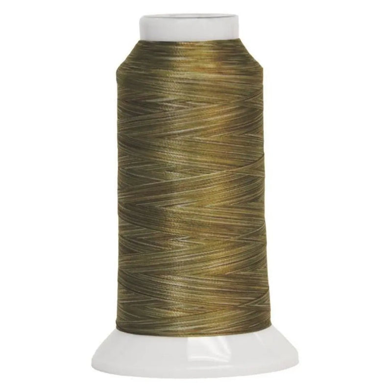 5010 Spice Cake Fantastico Variegated Polyester Thread - Choice FabricsCDS-11702-5010