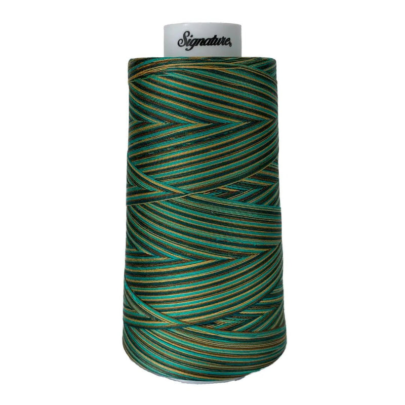 F251 Atlantis Signature Cotton Variegated Thread - Choice FabricsSIGV-F251